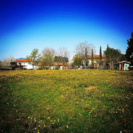 Cascina Corteprimavera, Del Baliot