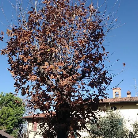 ベッド・アンド・ブレックファスト Cascina Corteprimavera, Del Baliot Passirano
