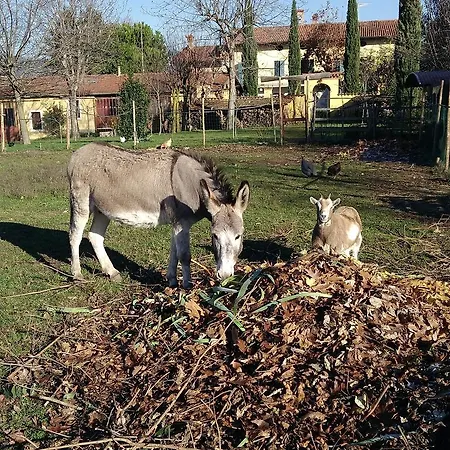Cascina Corteprimavera, Del Baliot 3* Passirano