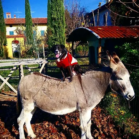 Cascina Corteprimavera, Del Baliot Bed & Breakfast 3*